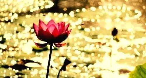 「空中凡星」人生低谷时，尽量多睡觉，少说话，多看书