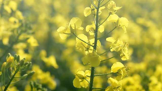 「雅中讲时尚」爱情中伤感的说说，唯情不忘，送给寂寞的自己