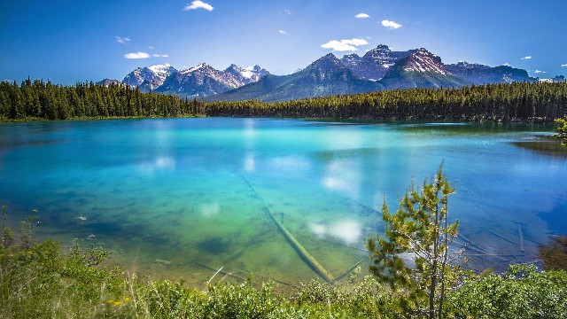 「雅中讲时尚」爱情中伤感的说说，唯情不忘，送给寂寞的自己