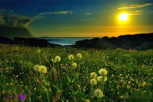 [日一善]人呐，再有钱再有势，活错了也白活