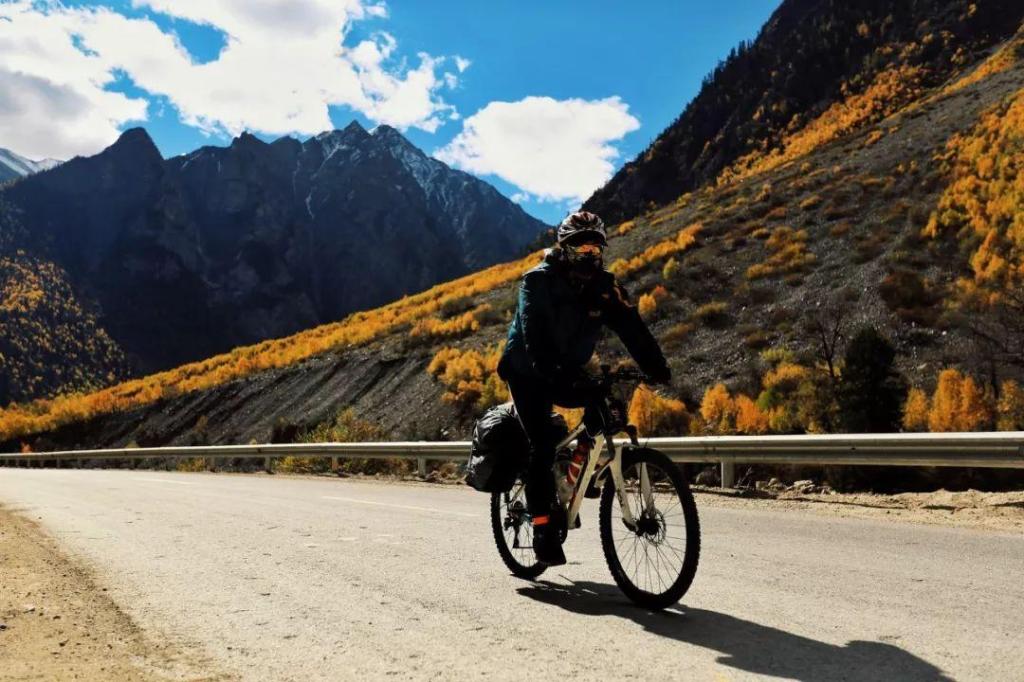 津门网@自律者出众，不自律者出局