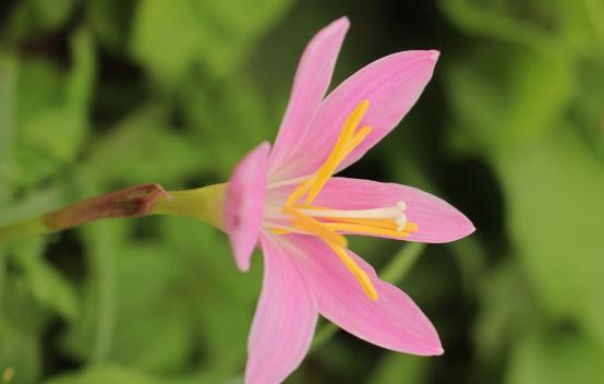 「胡蝶自由穿行在清涧」说话，不可随口；做事，不可随心；做人，不可随意！