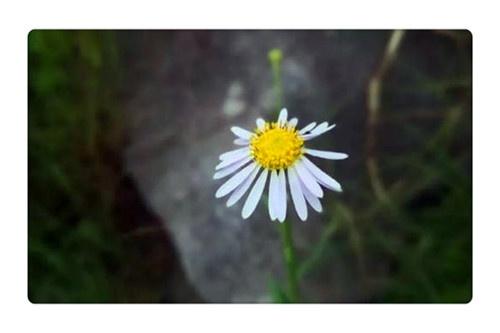 「君子荣论剑」当你变得一无所有负债累累时，如何渡过难关？