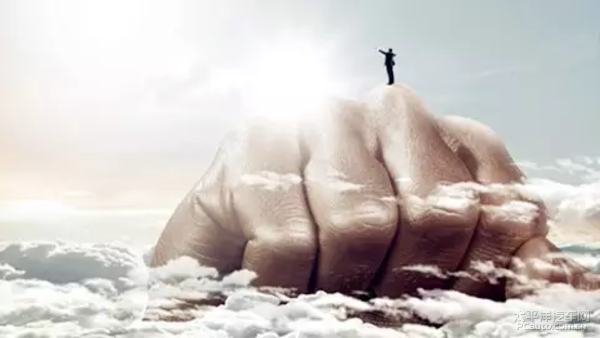 「随风而走」所谓的成长，就是坚强、适应、学习