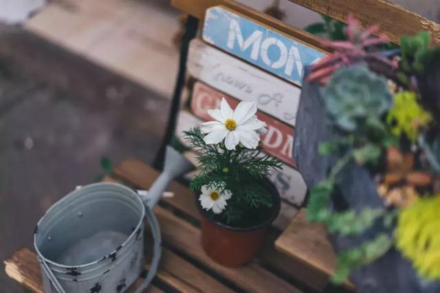 柠檬美文■最开心的活法，只要记住两句话！