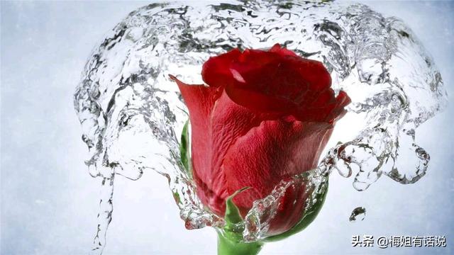 【梅姐有话说】爱的越满，输的越惨