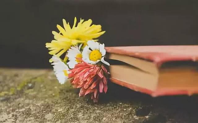 「上官青曼」爱人七分就好，请留三分爱自己