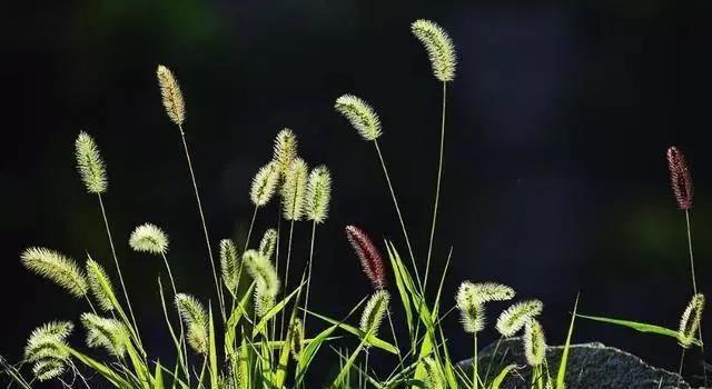 【情感小冬姐】人到五十，后半生苦不苦，看这四件事就够了