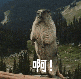 「天津圣安米悦心理咨询」生活这么累，该怎么调整自己的情绪？