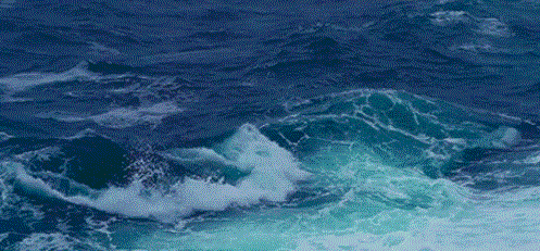 「天津圣安米悦心理咨询」生活这么累，该怎么调整自己的情绪？