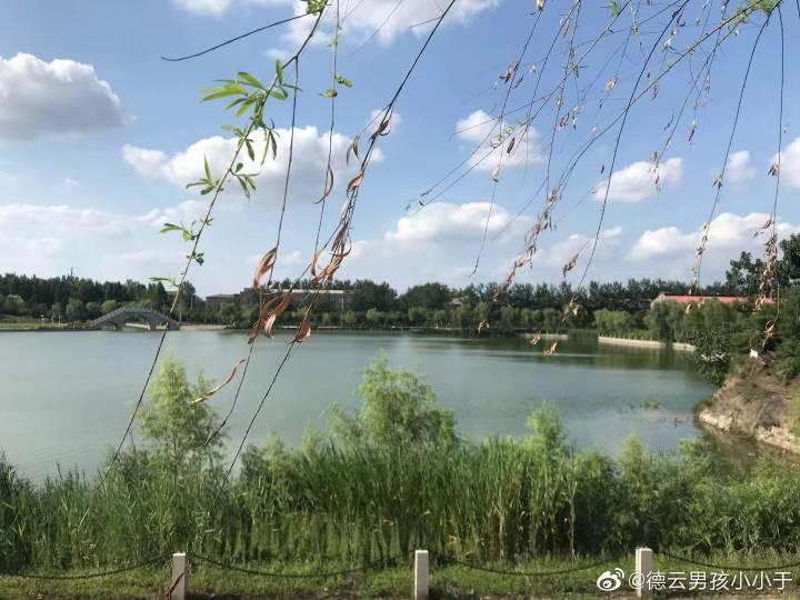 #德云男孩小小于#你见过最不求上进的是什么样子