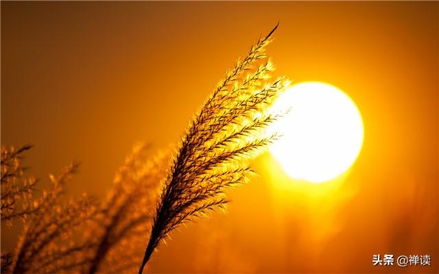 「励志的新竹」让勤奋打败懒惰，让坚强打败脆弱