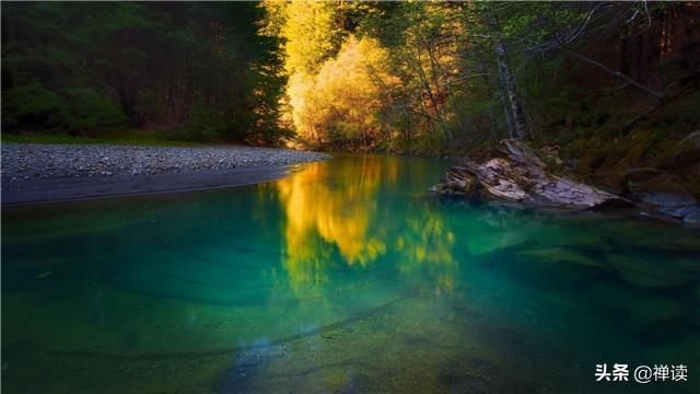 「励志的新竹」让勤奋打败懒惰，让坚强打败脆弱