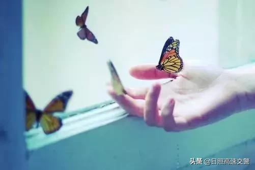 【柠檬美文】别生气，才有好福气！