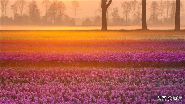 #焦点励志#谁人不被别人说，谁人背后不说人