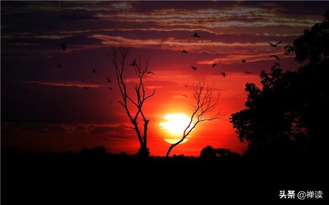 #焦点励志#谁人不被别人说，谁人背后不说人