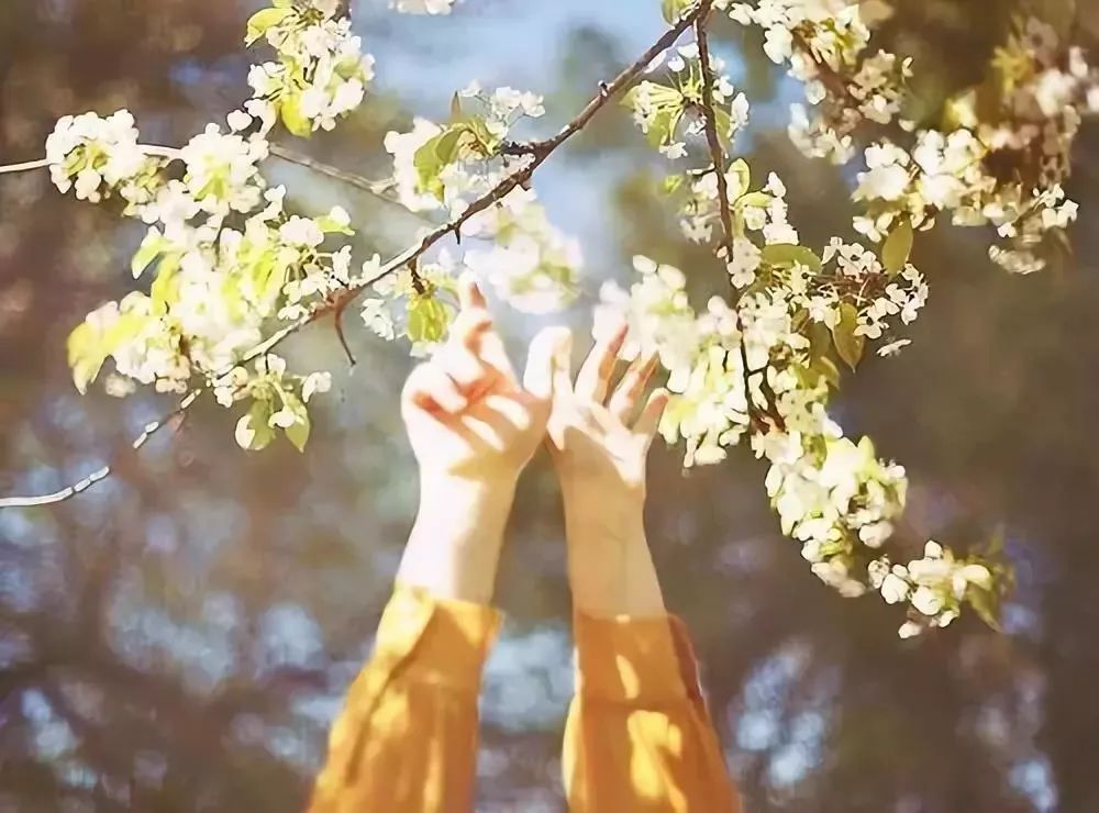 「烈山文体局」南湖夜读：清秋，读懂岁月的温情