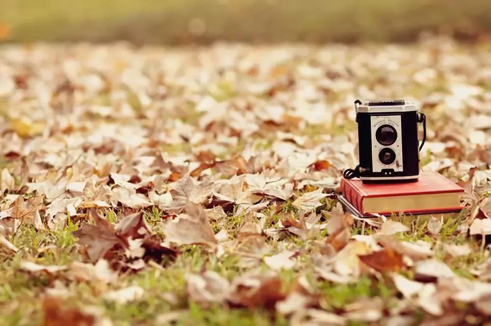 「烈山文体局」南湖夜读：清秋，读懂岁月的温情