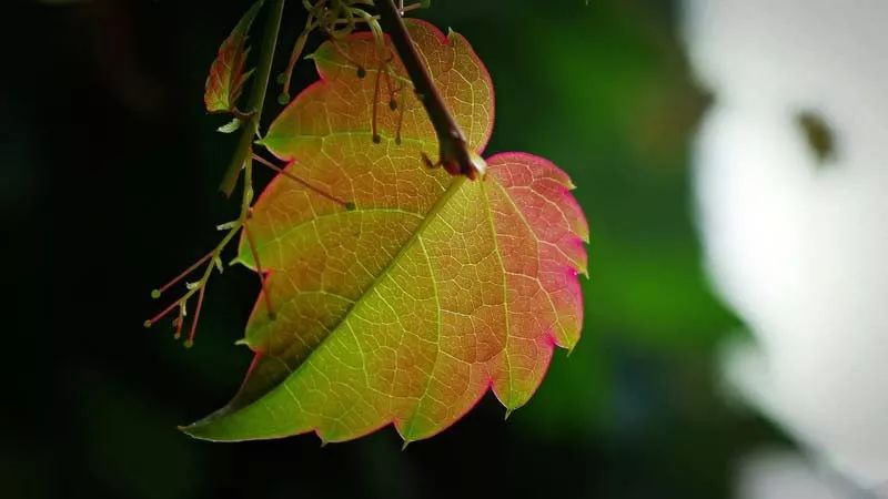 「烈山文体局」南湖夜读：清秋，读懂岁月的温情