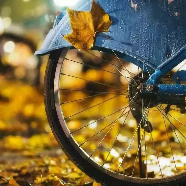 「烈山文体局」南湖夜读：清秋，读懂岁月的温情