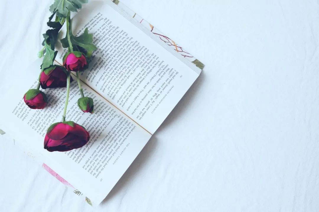 「白水广播电视台」美文欣赏：我想过这样一种生活