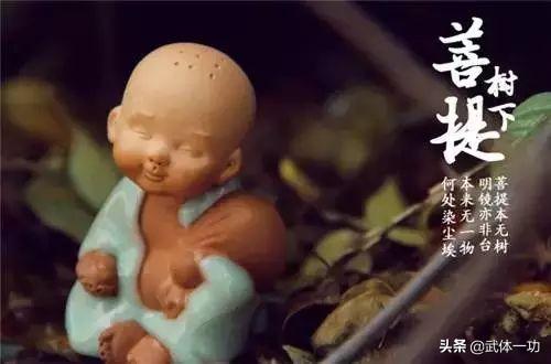 「佳作有约」人生七笑，有钱也买不到