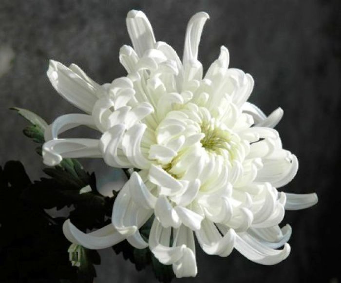 #生活万万千#增长智慧的人生感悟，有内涵有深意，读读醒悟人生