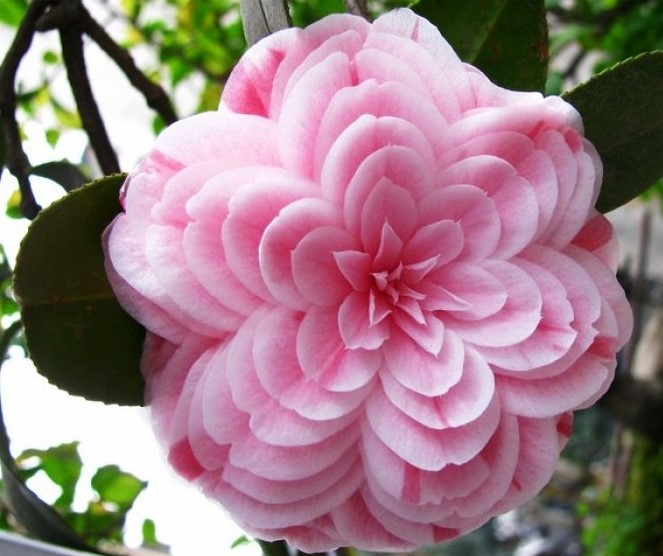 #生活万万千#增长智慧的人生感悟，有内涵有深意，读读醒悟人生