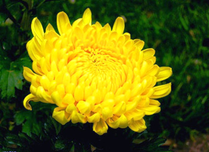 #生活万万千#增长智慧的人生感悟，有内涵有深意，读读醒悟人生