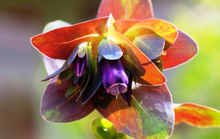 #生活万万千#增长智慧的人生感悟，有内涵有深意，读读醒悟人生