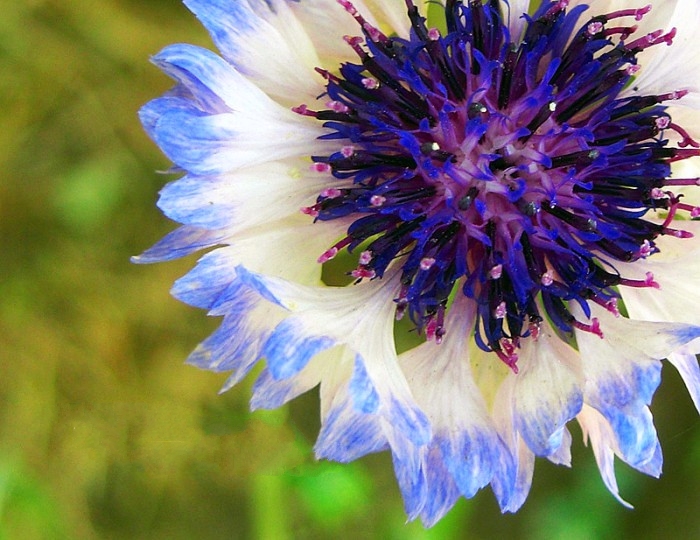 #生活万万千#增长智慧的人生感悟，有内涵有深意，读读醒悟人生