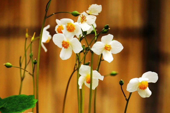 #生活万万千#增长智慧的人生感悟，有内涵有深意，读读醒悟人生