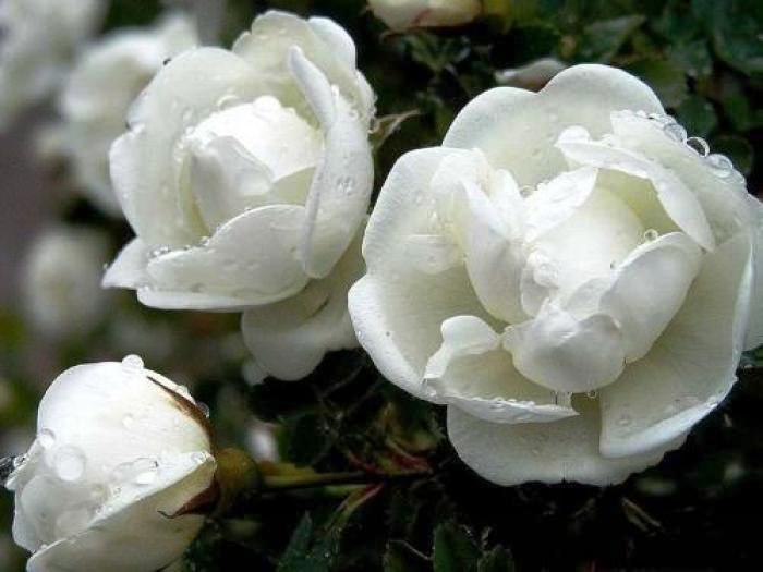 #生活万万千#增长智慧的人生感悟，有内涵有深意，读读醒悟人生