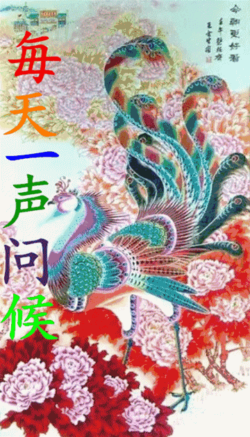 #钟楼孙的钟楼#今天10月11日，一心一意日，一心一意祝福你