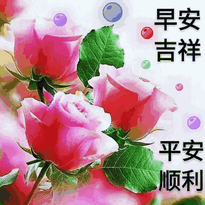 #钟楼孙的钟楼#今天10月11日，一心一意日，一心一意祝福你