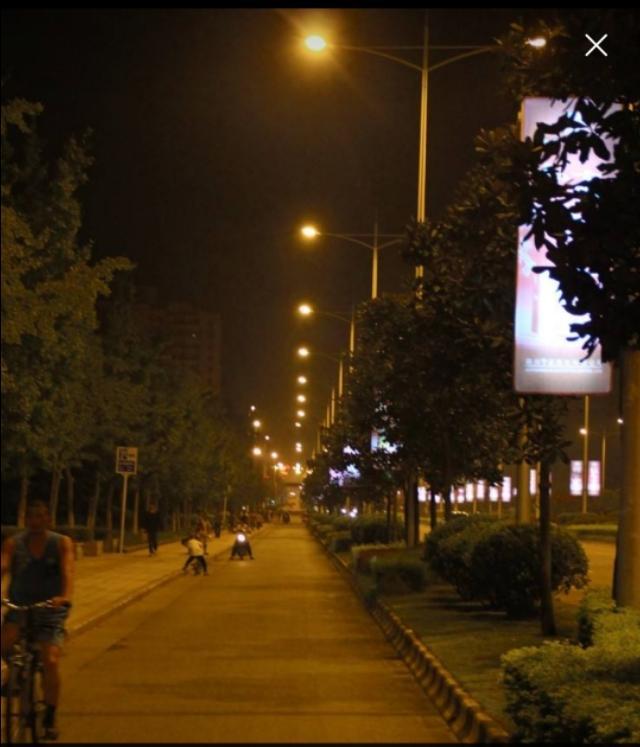 「会说话的树宝宝」你眼里的浩瀚星辰，是我不曾到过的净土!