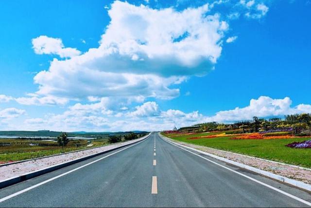 「会说话的树宝宝」你眼里的浩瀚星辰，是我不曾到过的净土!