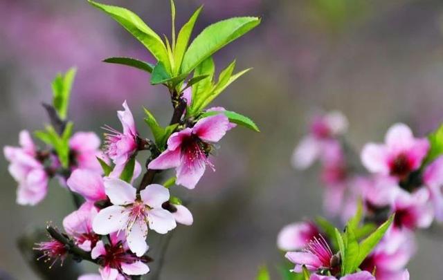 「励志风雨人生」一个人的夜，一个人的世界，思绪里有你