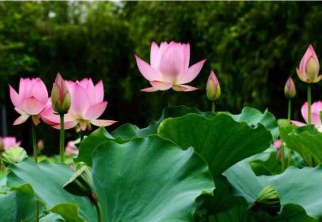 「励志风雨人生」一个人的夜，一个人的世界，思绪里有你