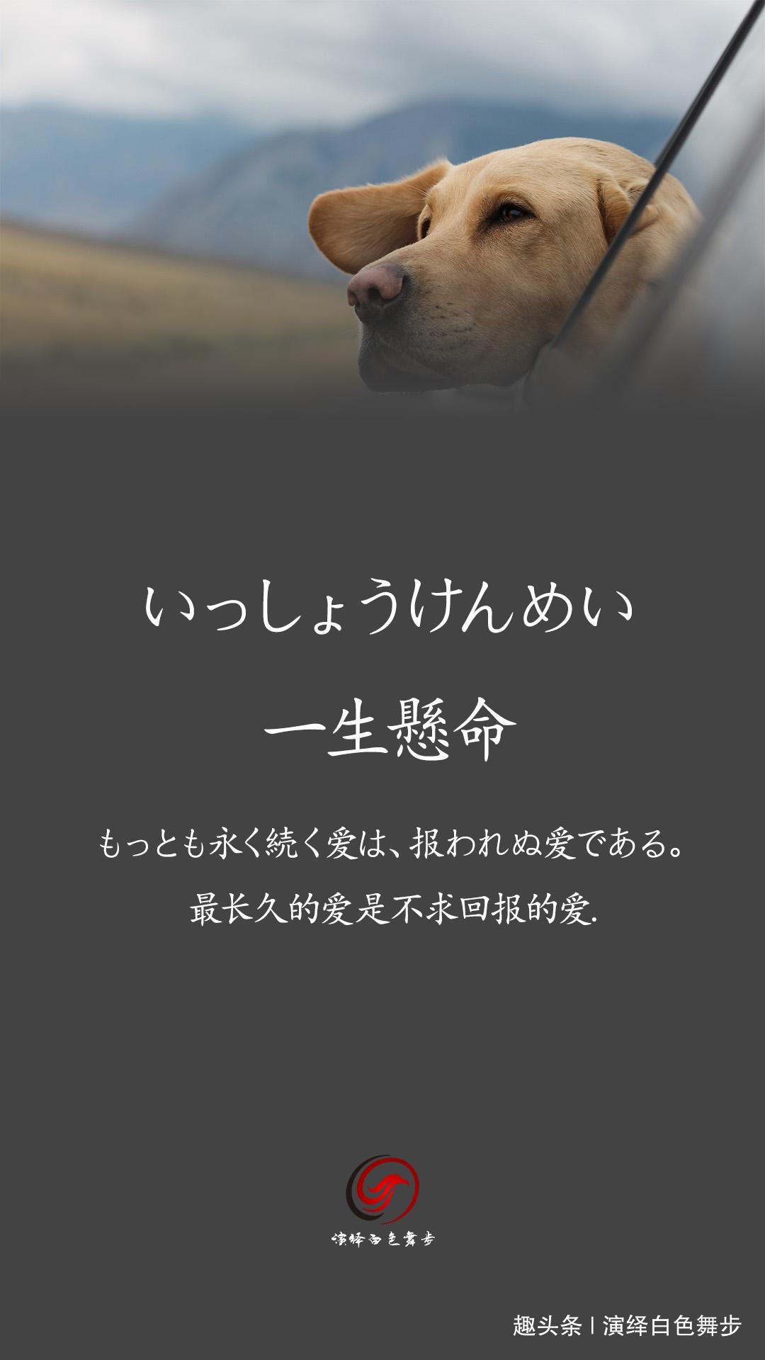 「演绎白色舞步」人作为人存在时，最重要的不是头脑的好坏，而是心地的好坏