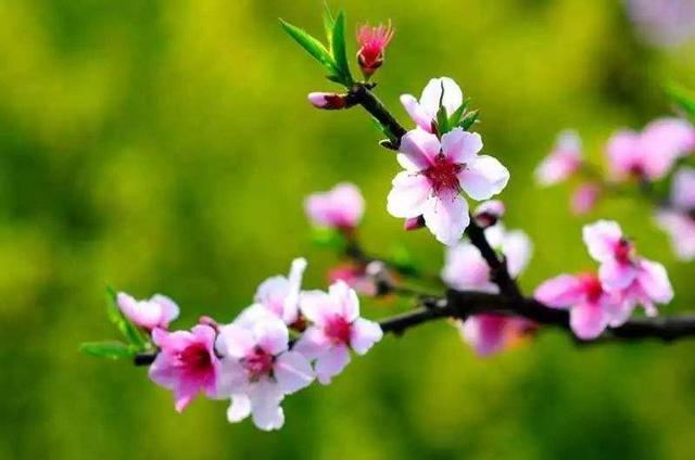 大大说■生活百般多滋味，学会微笑去面对