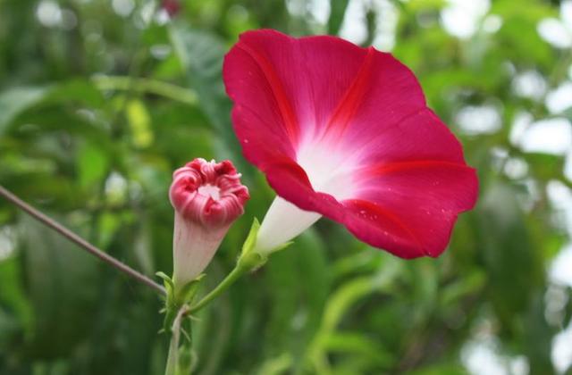 大大说■生活百般多滋味，学会微笑去面对