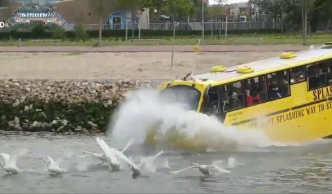 「奇星坊」公交车冲进大海中 路人看到准备报警 接下来一幕众人傻了眼