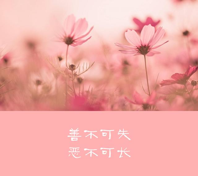 「柠檬美文」做人，高在忍，贵在让