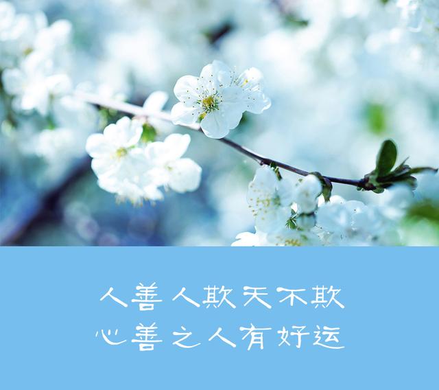 「柠檬美文」做人，高在忍，贵在让