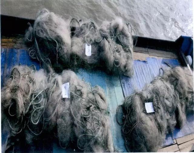 渔民违法捕捞刀鱼740余公斤，检察机关索赔24万