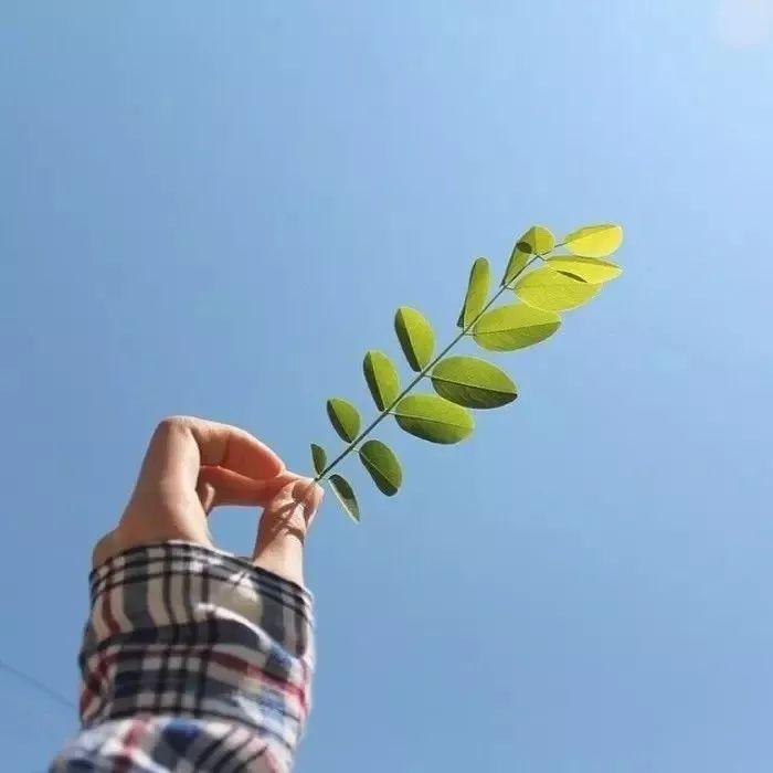 「缘分天空」这样回你微信的人，就是不珍惜你