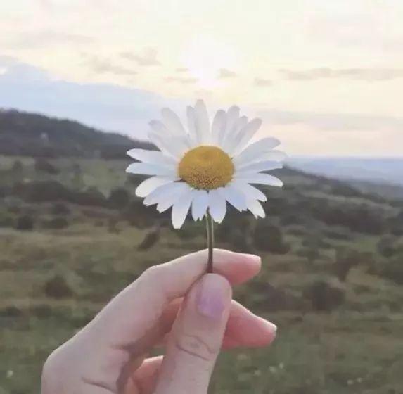 「缘分天空」这样回你微信的人，就是不珍惜你