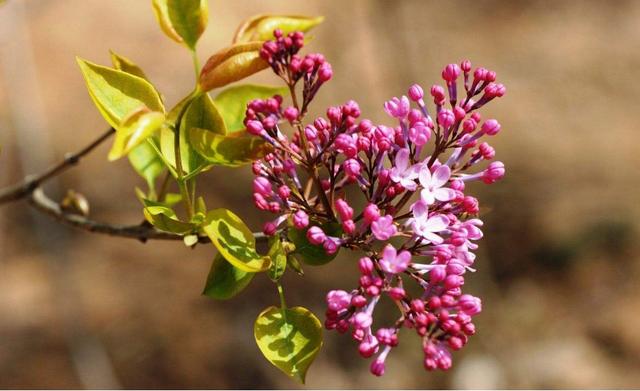 心理观察家■舍，可以养福；静，可以修心