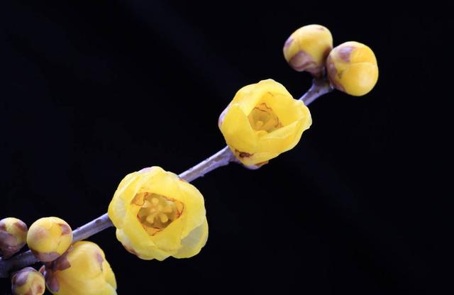 心理观察家■舍，可以养福；静，可以修心